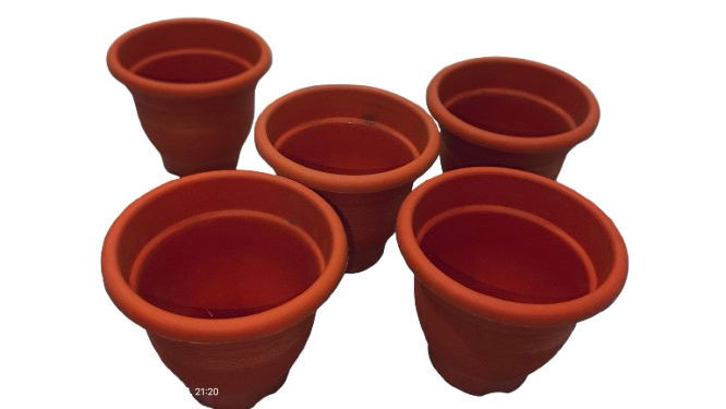 6-Inch Plastic Pot(pack of 5)