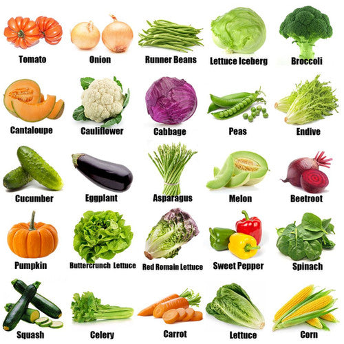 20 Variety Vegetable Seed Kit