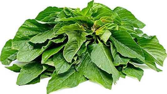 Green Amaranth Leaves Seeds(5g) (चौलाई भाजी के बीज)
