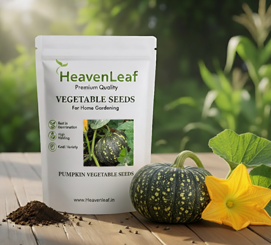 6 Vegetable Seeds Combo