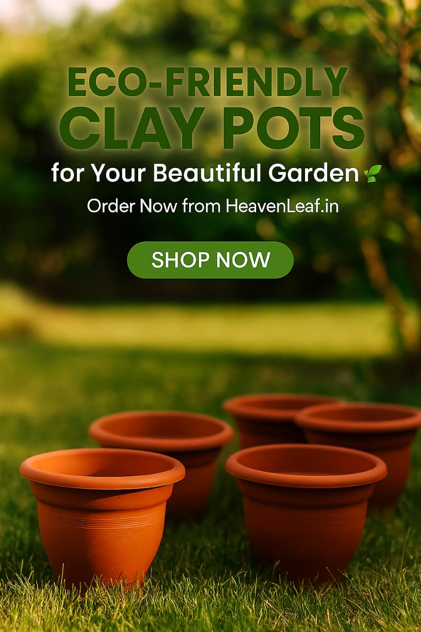 6-Inch Plastic Pot(pack of 5)