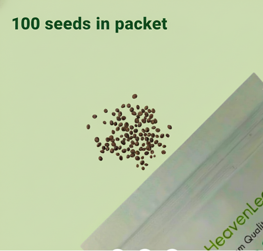 Balsam Camellia Flowered Mix Seeds - 100 Seeds (Gulmehndi/गुलमेहंदी के बीज)