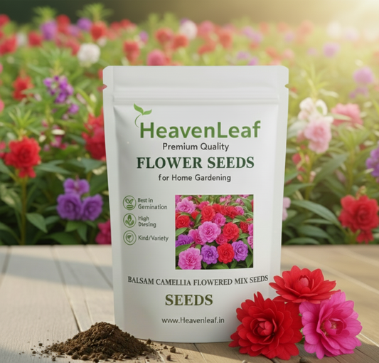Balsam Camellia Flowered Mix Seeds - 100 Seeds (Gulmehndi/गुलमेहंदी के बीज)
