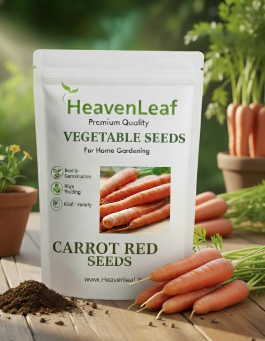Carrot Red Deep Desi (लाल गाजर) | Vegetable Seeds(500-550 seeds)