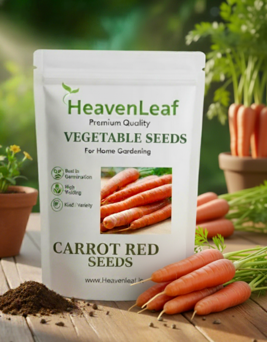 Carrot Red Deep Desi (लाल गाजर) | Vegetable Seeds(500-550 seeds)