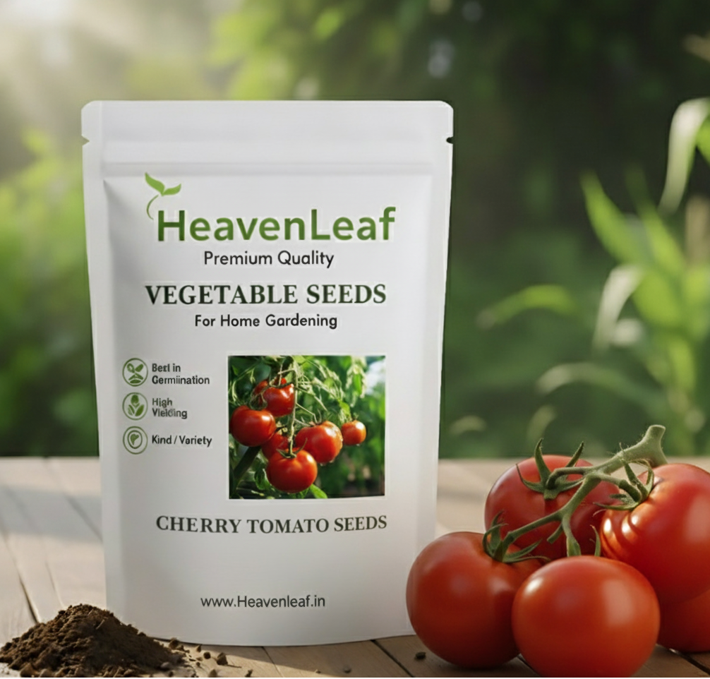 Cherry Tomato (चेरी टमाटर) | Vegetable Seeds(25-30 seeds)