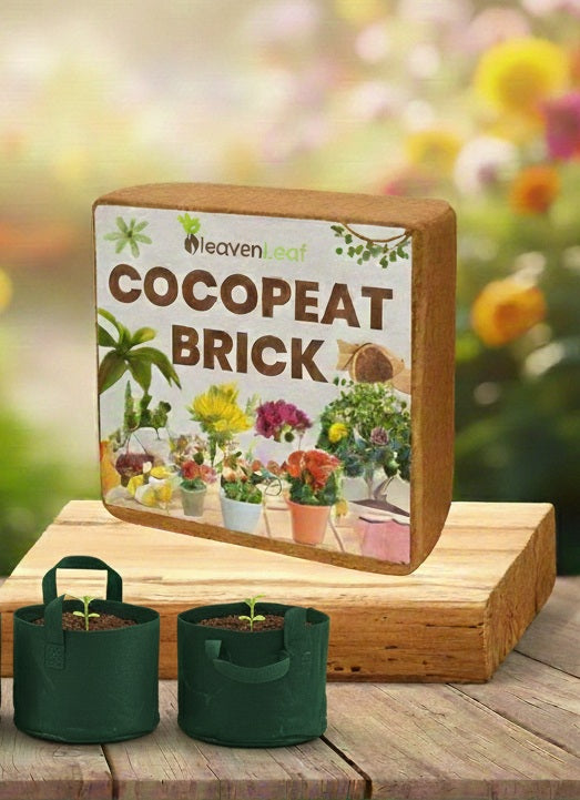 Mega Grow Kit – 20 in 1 Vegetable Gardening Combo