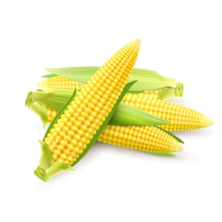 Sweetcorn Seeds (मक्का) | Vegetable Seeds(20-25 seeds)
