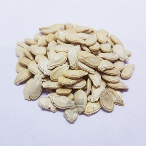 Bottle Gourd Lauki Long F1 (लौकी) | Vegetable Seeds(10-12 seeds)