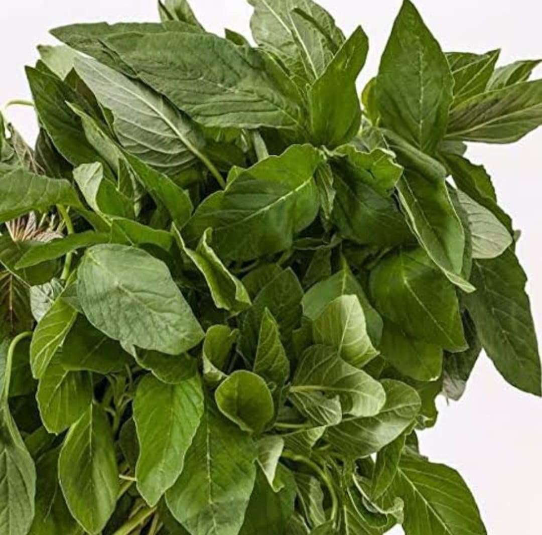 Green Amaranth Leaves Seeds(5g) (चौलाई भाजी के बीज)