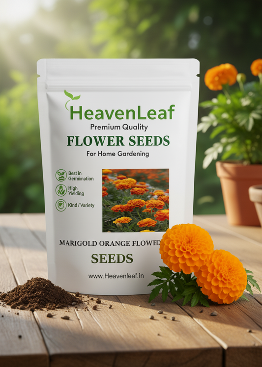Marigold Orange Flower Seeds (गेंदा) | Flower Seeds(90-100seeds)