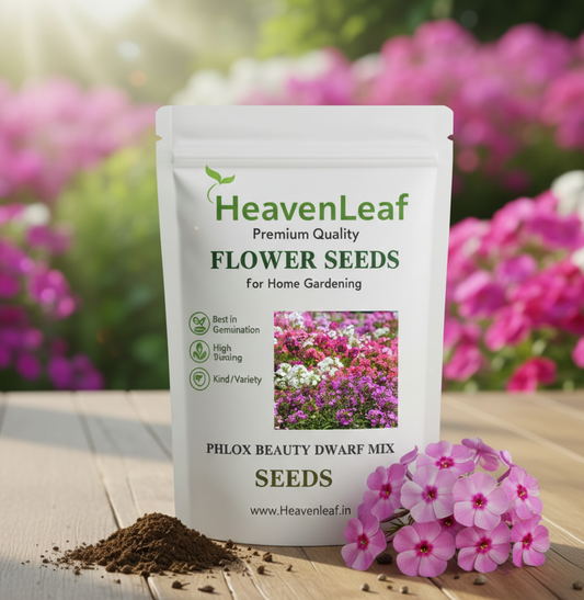 Phlox Beauty Dwarf Mix Seeds (200 Seeds)