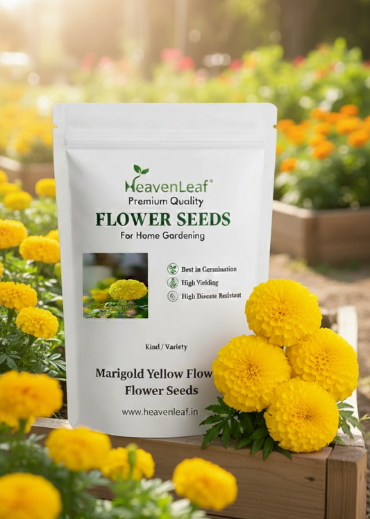 Marigold yellow Flower Seeds (गेंदा)(80-90seeds)