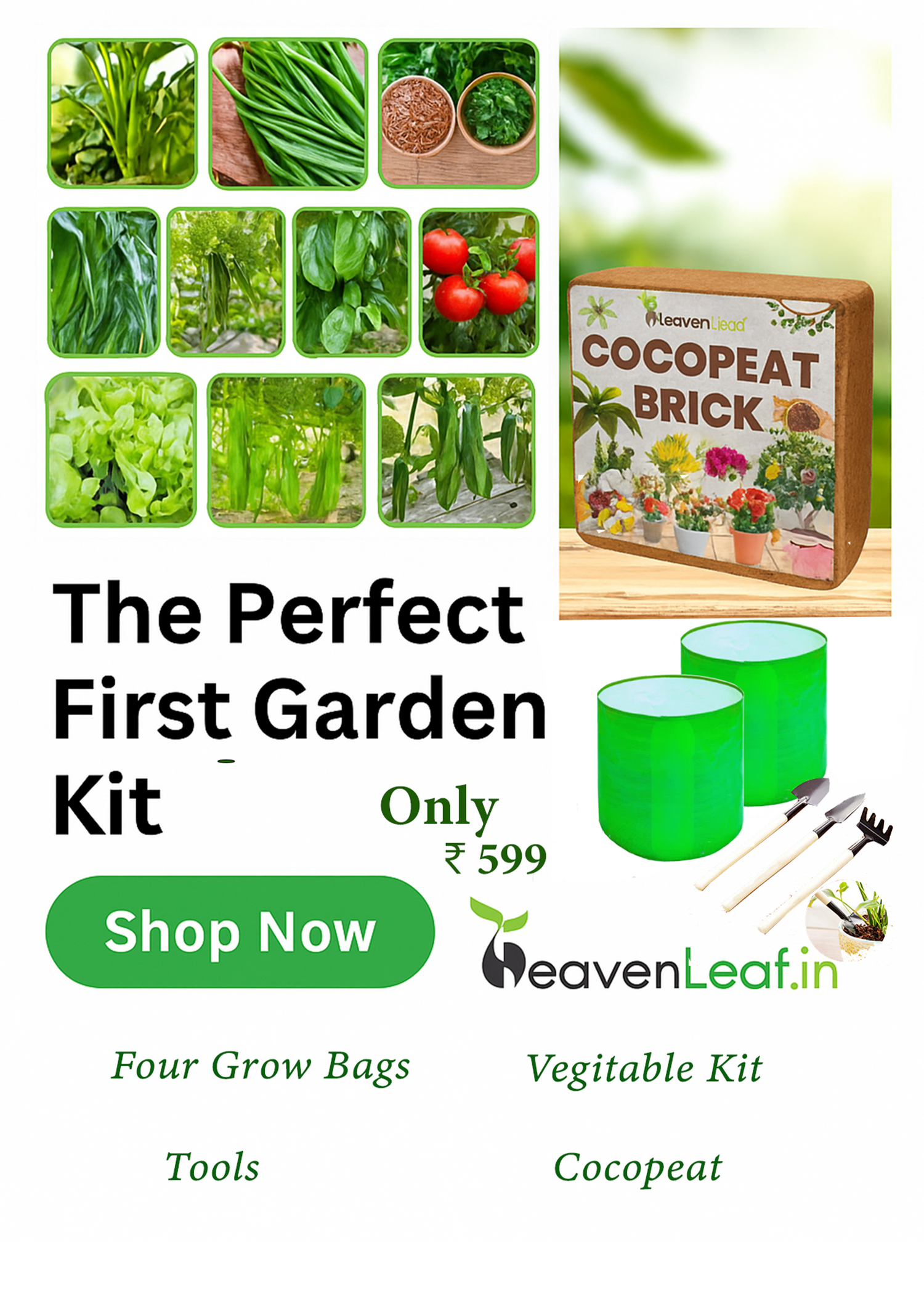 All-in-One Garden Kits