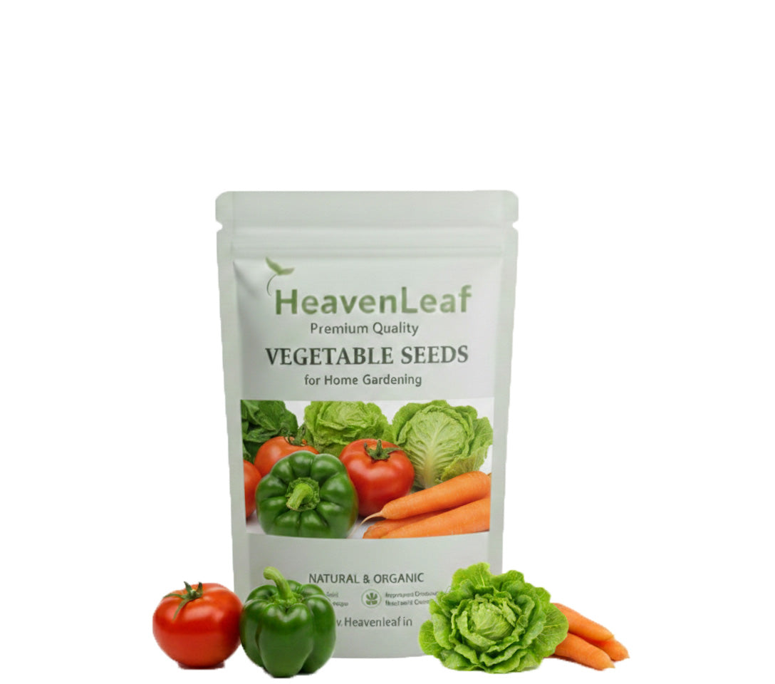 Vegetable seeds