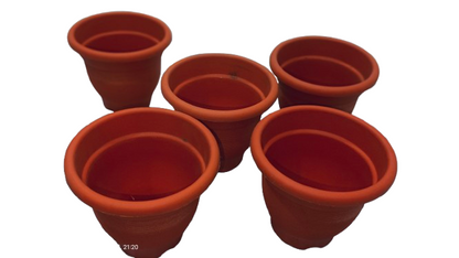 6-Inch Plastic Pot(pack of 5)