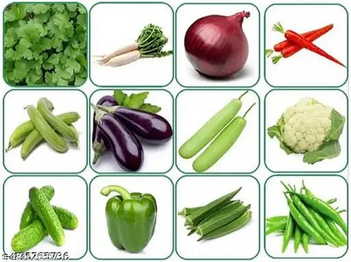 10 Varieties of Vegetable Seeds Kit (Combo Pack)