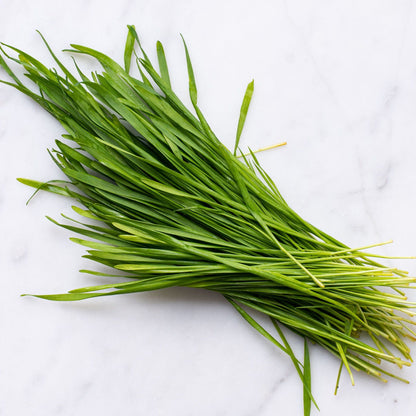 Wheat Grass Seeds 500g