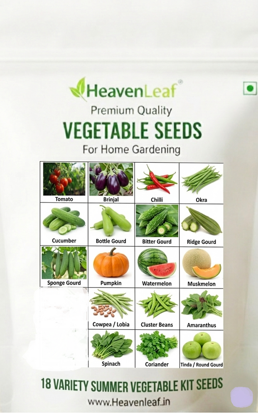 Summer Vegetable Seed Kit – 18 Varieties