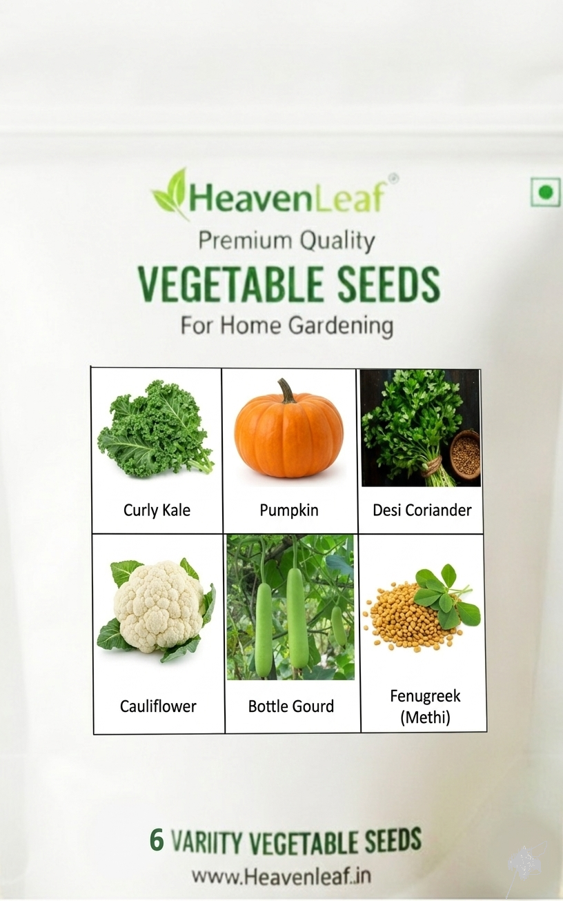 6 Vegetable Seeds Combo