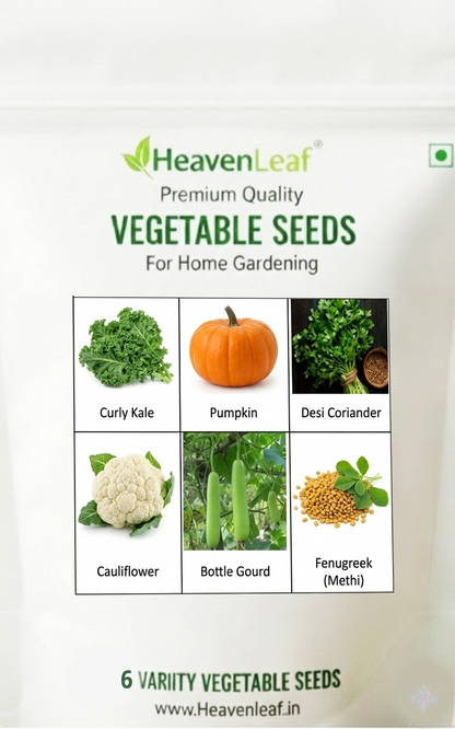 6 Vegetable Seeds Combo