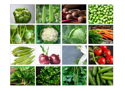 16 Variety of Vegetable Seeds kit With High Germination Rate