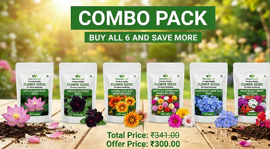 Special Offer: Buy Together & Save – 6 Flower Seeds Combo