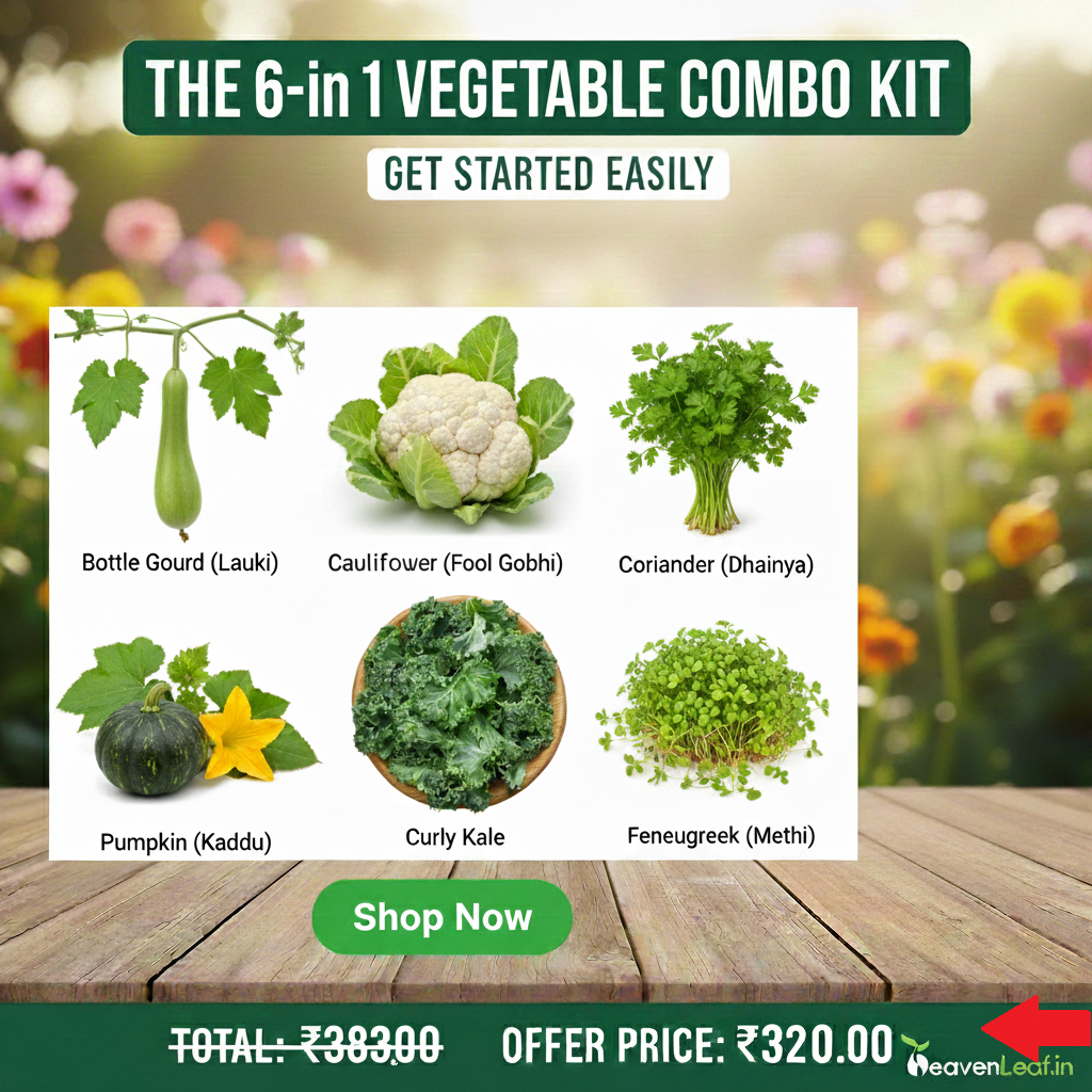 6 Vegetable Seeds Combo – Save ₹63