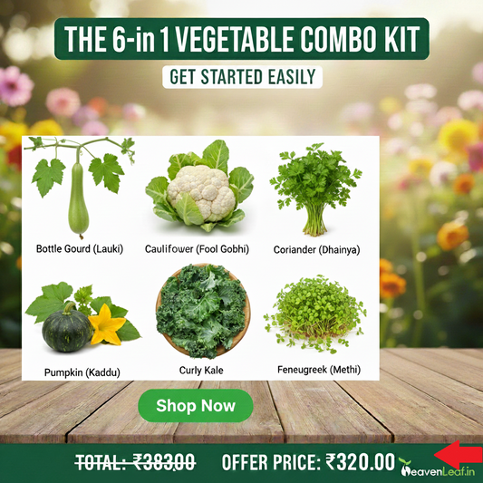6 Vegetable Seeds Combo – Save ₹63