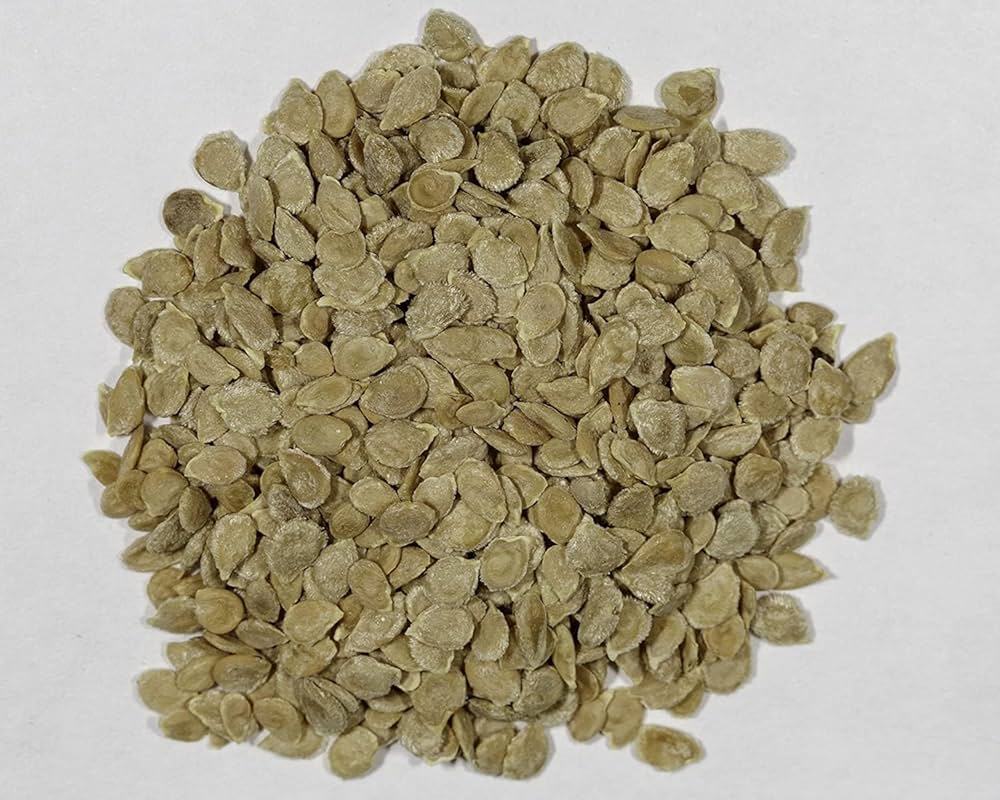 Tomato  (टमाटर) | Vegetable Seeds(50-60 seeds)