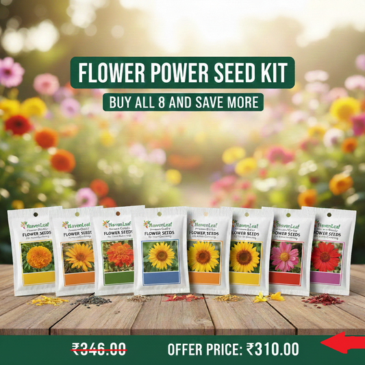 Buy More & Save – 8 Flower Seeds Mega Combo (Marigold & Sunflower Special)