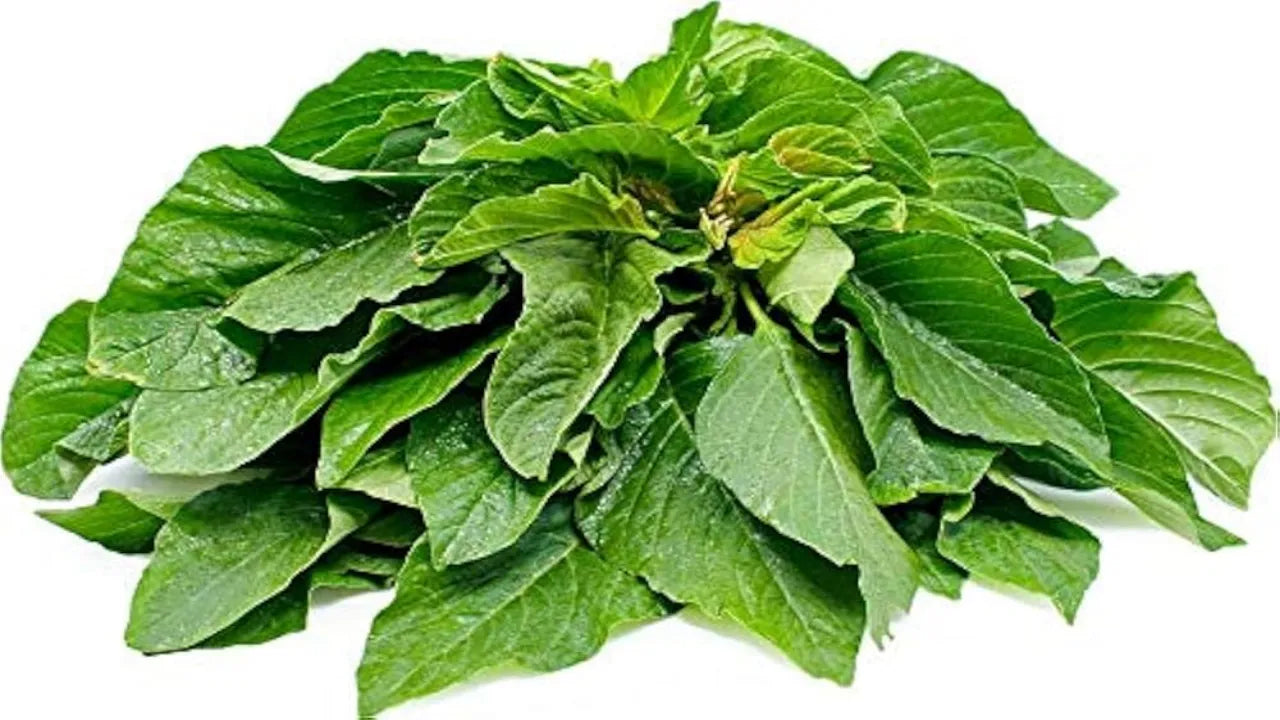 Green Amaranth Leaves Seeds(5g) (चौलाई भाजी के बीज)