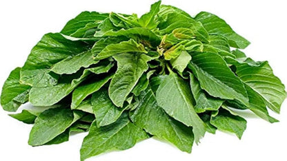Green Amaranth Leaves Seeds(5g) (चौलाई भाजी के बीज)