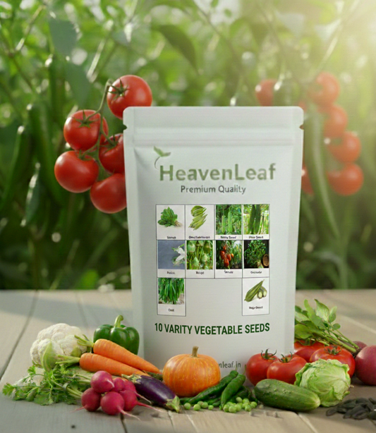 10 Varieties of Vegetable Seeds Kit (Combo Pack)