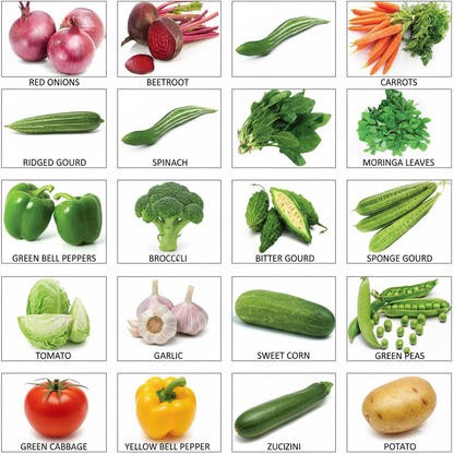 Mega Grow Kit – 20 in 1 Vegetable Gardening Combo