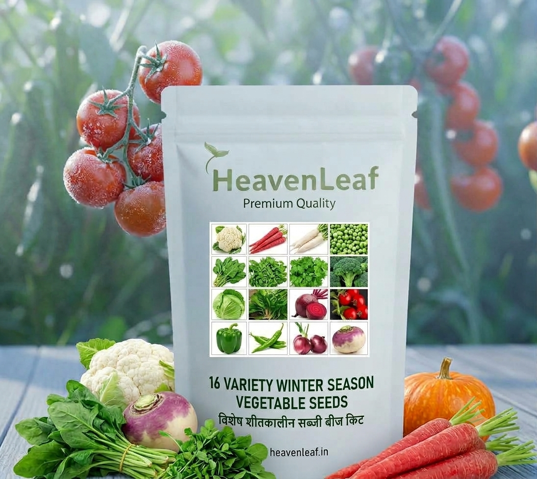 16 Variety Winter Season Vegetable Seeds Kit | High Germination Home Gardening Seed Pack