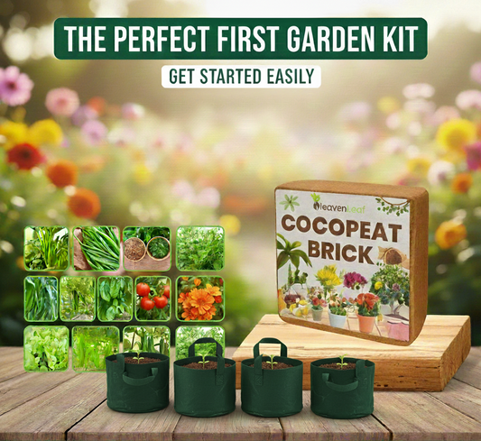 Mega Grow Kit – 20 in 1 Vegetable Gardening Combo