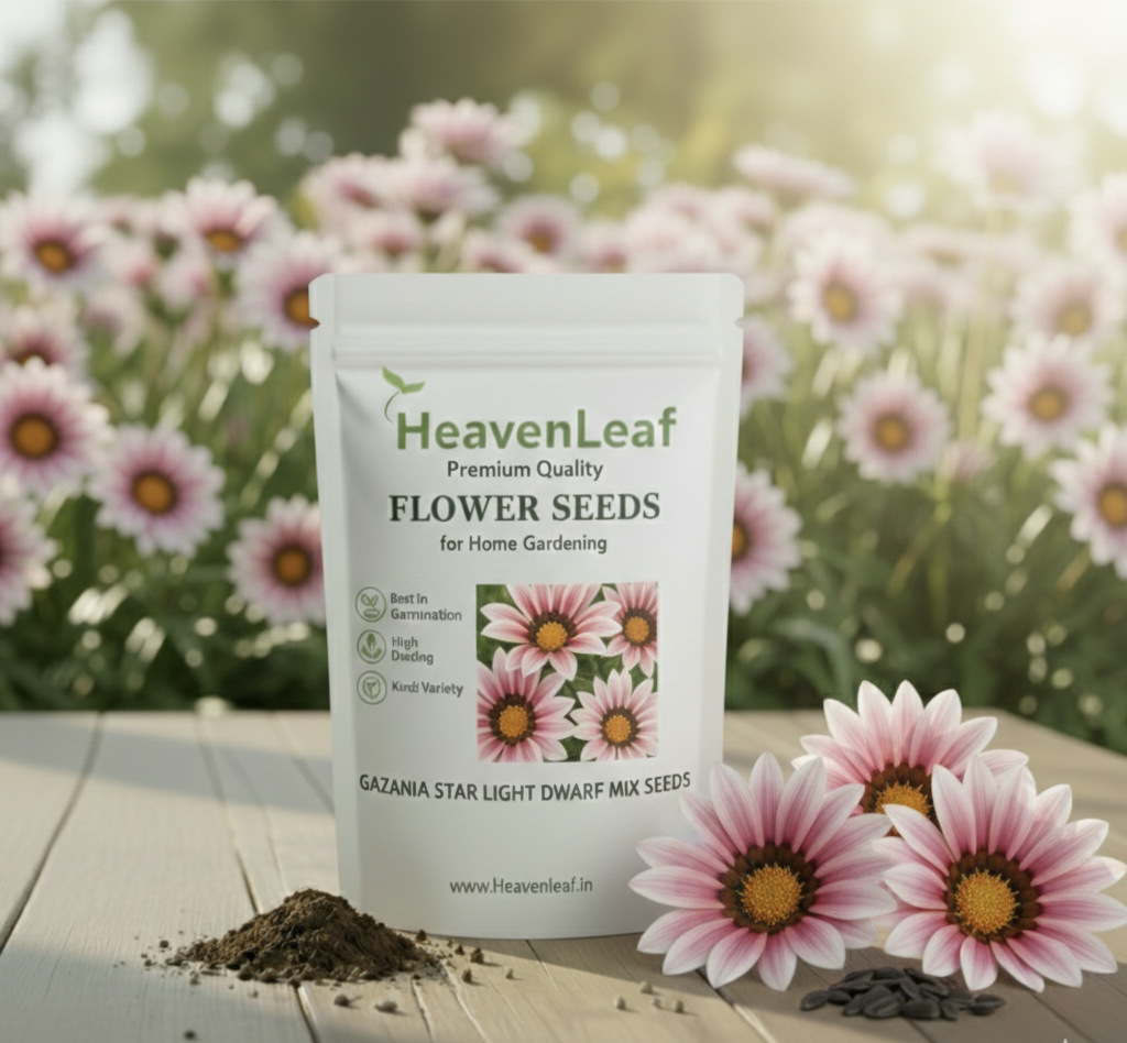 Gazania Star Light Dwarf Mix Seeds (150 Seeds)