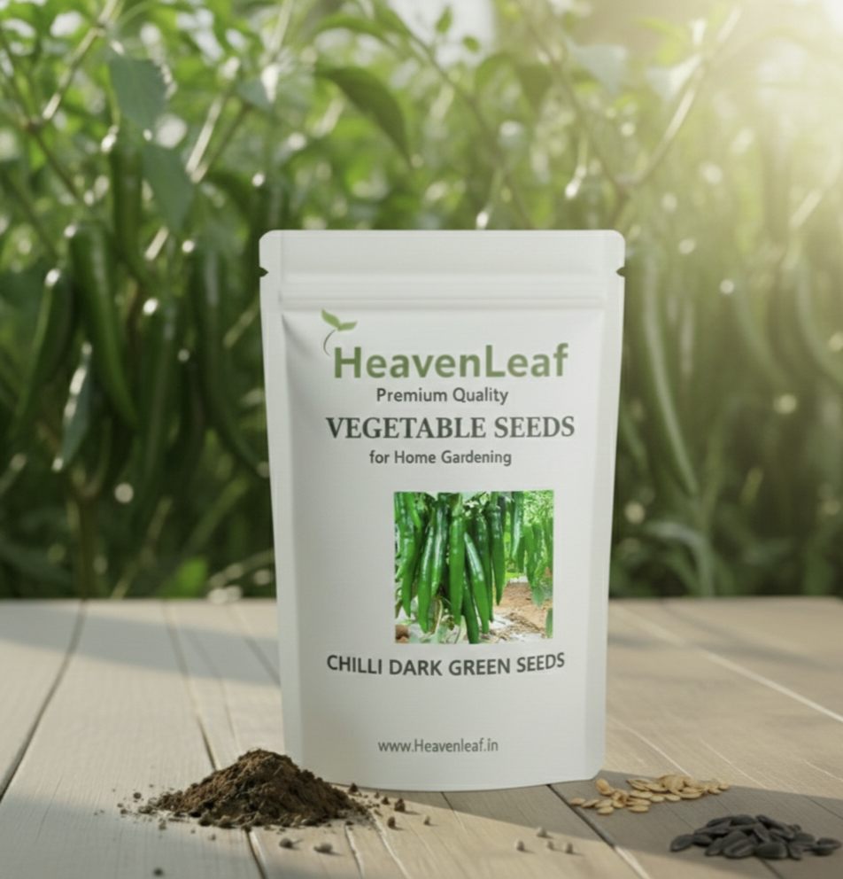 Chilli Dark Green (High Spicy)  Seeds - (50 Seeds) High Yield | High Germination |  for Home Gardens