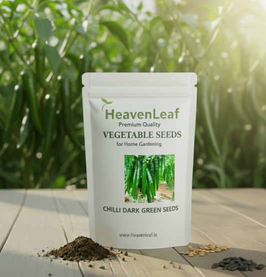 Chilli Dark Green (High Spicy)  Seeds - (50 Seeds) High Yield | High Germination |  for Home Gardens