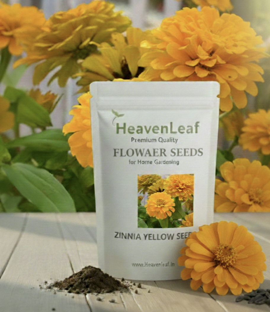 Zinnia Yellow Flower Seeds (100 Seeds)