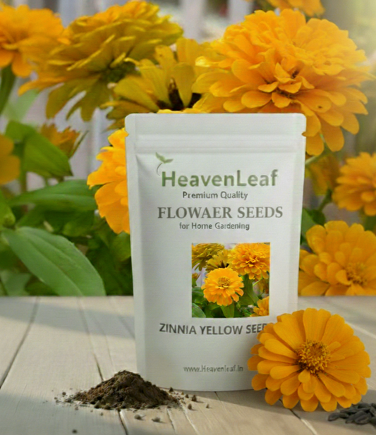 Zinnia Yellow Flower Seeds (100 Seeds)