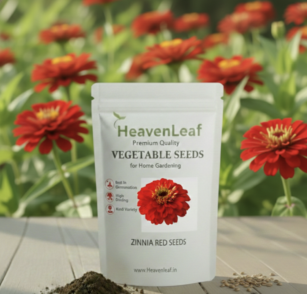 Zinnia Red Flower Seeds (100 Seeds)