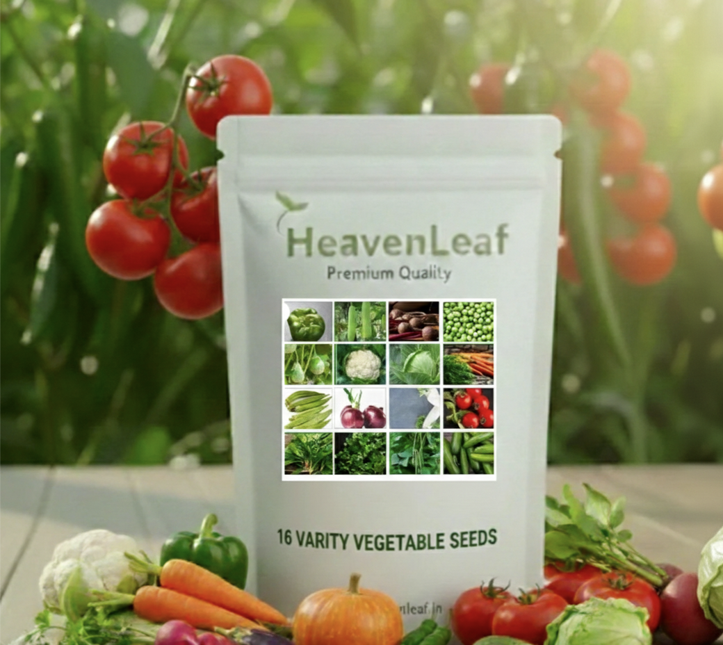 16 Variety of Vegetable Seeds kit With High Germination Rate