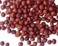 Okra (Lady Finger) seeds 100gm pack