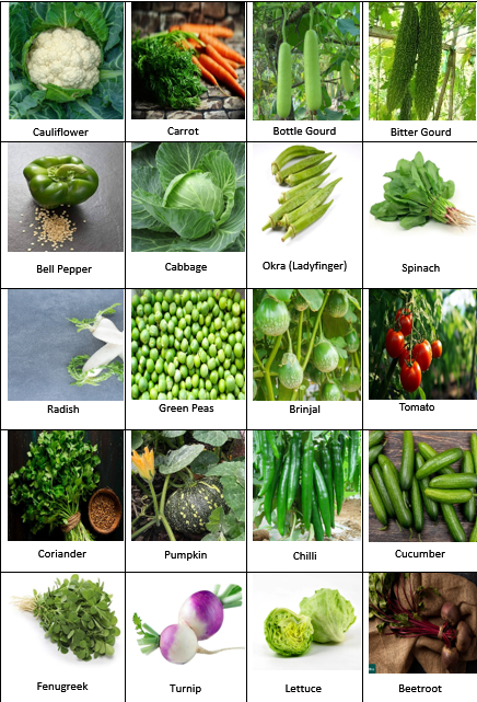 20 Variety Vegetable Seed Kit