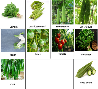 10 Varieties of Vegetable Seeds Kit (Combo Pack)