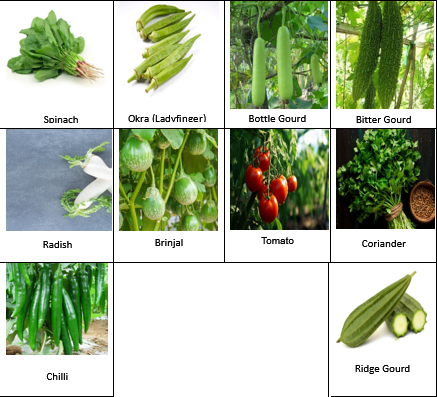 10 Varieties of Vegetable Seeds Kit (Combo Pack)