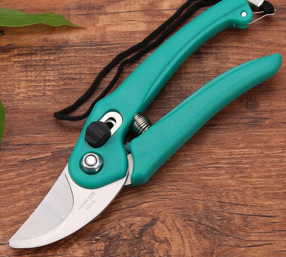 All in One Gardening Kit – Complete Home Garden Setup