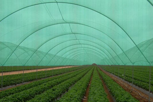 Green Shade Net 75% for Home and Garden (3.5m X 3m)